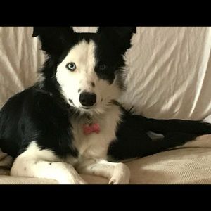 Meet your Posher, Charlotte